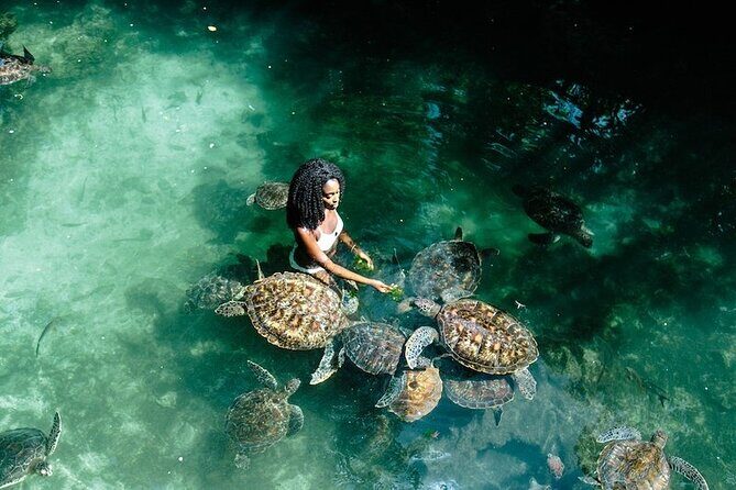 Full Day Private Zanzibar Tour with Sunset Beach - A Private 7-Hour Day Around Zanzibar Waters and Beaches