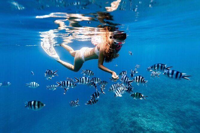 Full Day Private Zanzibar Tour with Sunset Beach - Who This Tour Fits Best (and Who Might Want a Different Day)