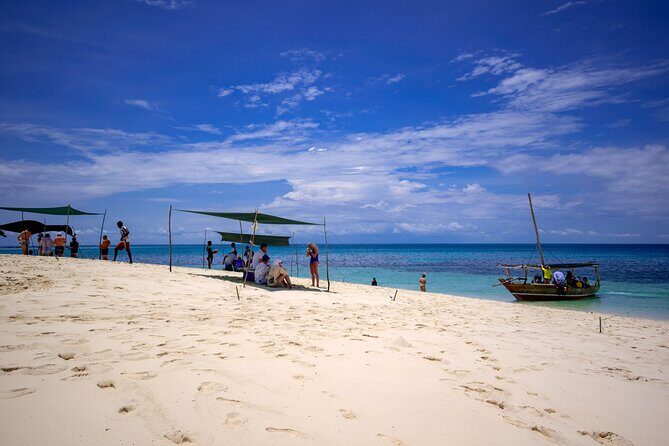 Full Day Safari Blue Zanzibar - Dolphin watch on the way: how to maximize your odds