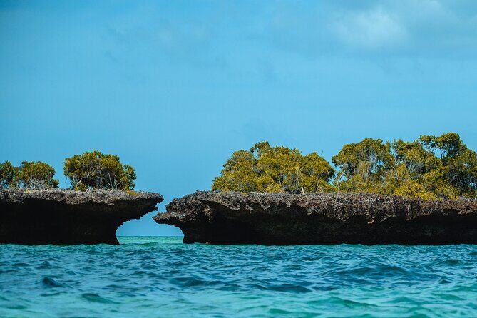 Full Day Safari Blue Zanzibar - Kwale island lunch: the beach picnic moment you’ll remember
