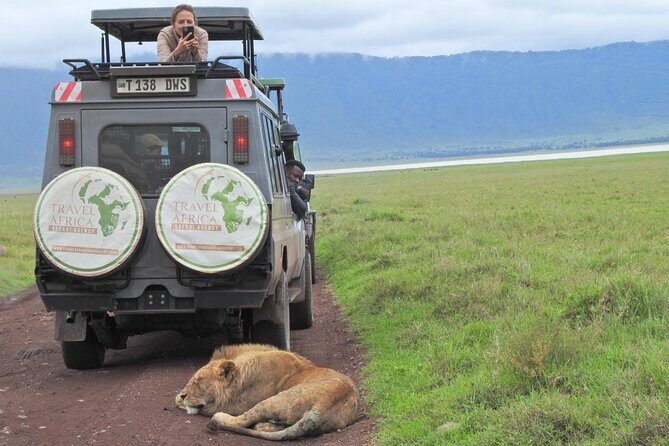 Full-Day Trip to Ngorongoro Crater from Arusha Town - From Arusha to the Rim: 4x4 Comfort and Real Sightlines