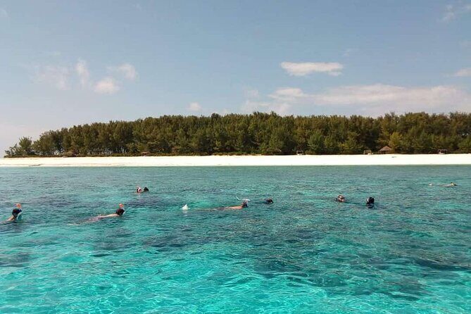 Half Day Zanzibar Mnemba Atoll Marine Reserve Snorkeling Tour - Key Things to Know Before You Go