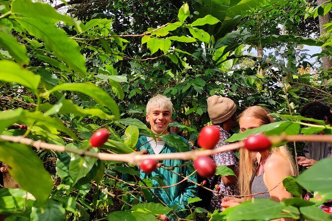 Hidden Arusha Waterfall, Coffee & Village Tour (All-Inclusive) - Key Highlights You’ll Care About