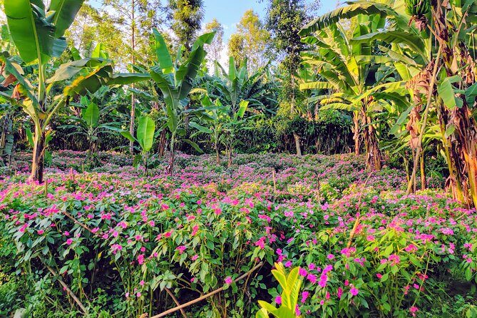 Hidden Arusha Waterfall, Coffee & Village Tour (All-Inclusive) - Stop 3: Spices, Honey Tasting, and a Proper Buffet Lunch