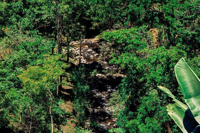 Hidden Arusha Waterfall, Coffee & Village Tour (All-Inclusive) - The Real Value: What You Get for $40