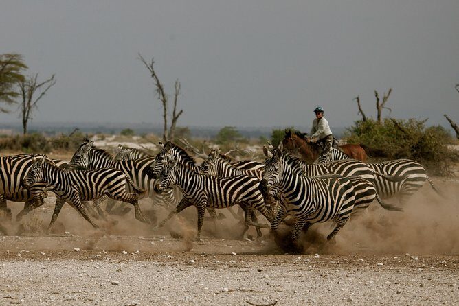 Horse safaris in Tanzania - Key things I’d plan around