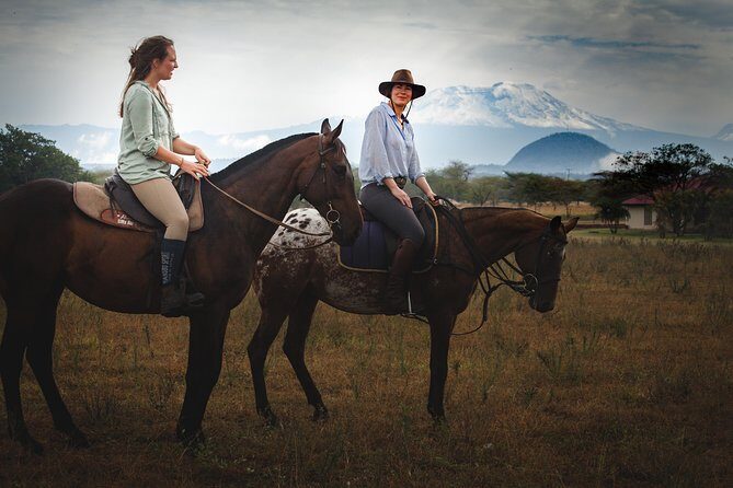 Horse safaris in Tanzania - Wildlife spotting: what you can hope for (and what you can’t control)