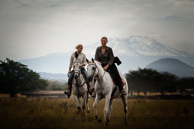 Horse safaris in Tanzania - Helmets and trained horses: what safety looks like here