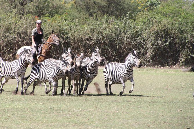 Horse safaris in Tanzania - Photos on horseback: getting great shots without wrecking the ride