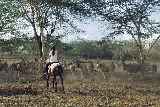 Horse safaris in Tanzania - Price and value: is $120 fair for this kind of safari?