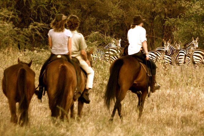 Horse safaris in Tanzania - The simple flow of a two-hour horseback safari