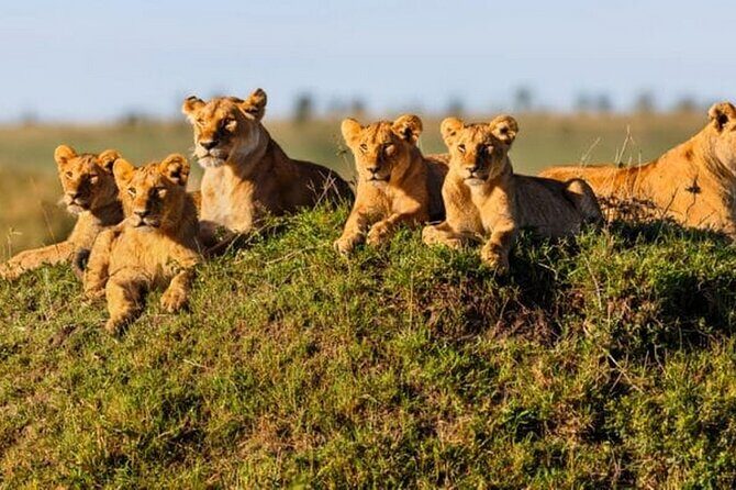 Joining Safari from Mwanza - Price and What You Get for $920 Per Person
