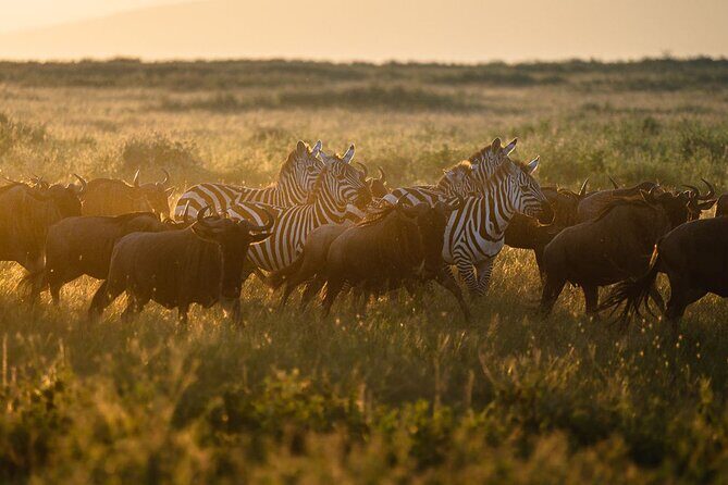 Joining Safari from Mwanza - Camping Nights vs Luxury Lodge Upgrade