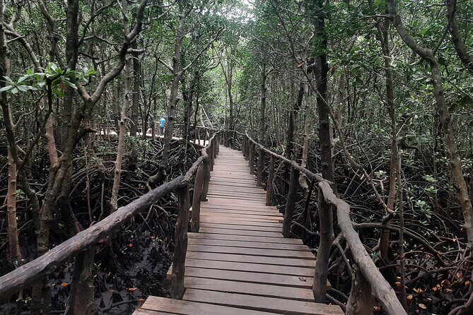 Jozani Forest, Kuza Cave, Paje Beach and The Rock Restaurant - What to pack so you enjoy Jozani and Kuza (not just survive them)