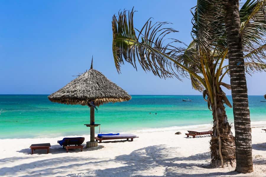 Jozani Forest, Tandem Clear Kayak, The Rock, Paje Beach - Price and timing: Is $145 good value for this Zanzibar mix?