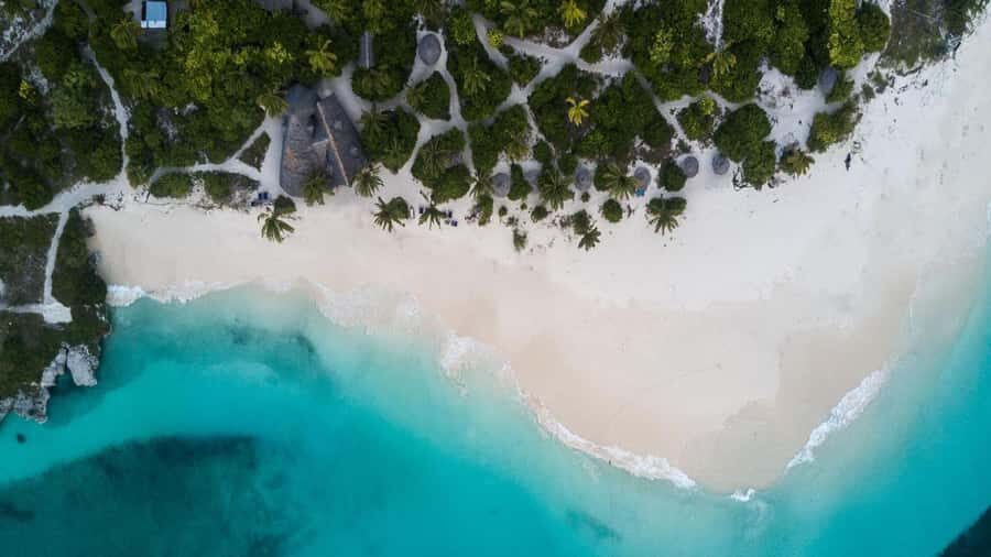 Jozani Forest, Tandem Clear Kayak, The Rock, Paje Beach - Who should book this tour, and who should skip it