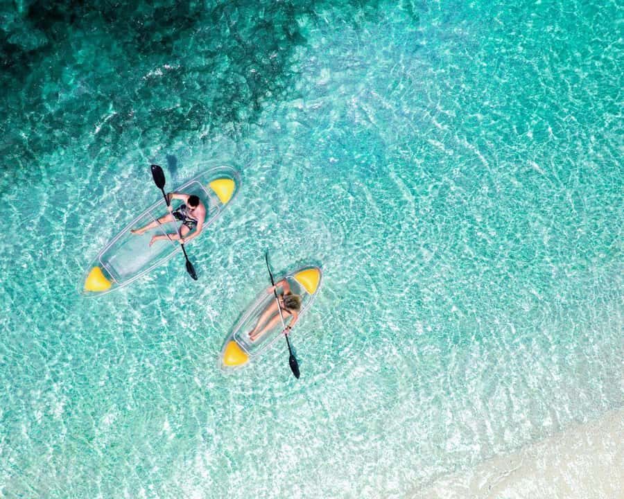 Jozani Forest, Tandem Clear Kayak, The Rock, Paje Beach - The Rock Restaurant Zanzibar: Why this stop matters even if lunch costs extra