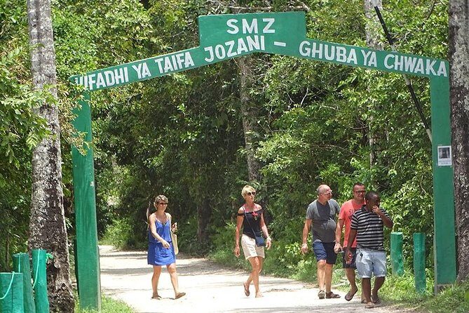 Jozani Forest Tour - How the Joani Forest Tour Fits Into Your Zanzibar Schedule