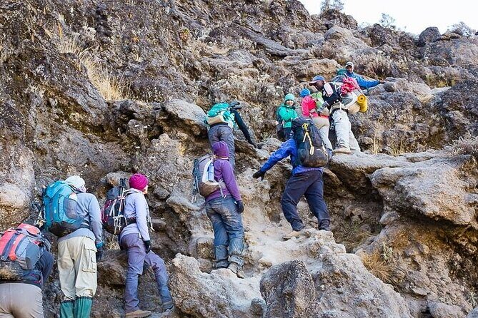 Kilimanjaro 7 Day Private Trekking Experience - Price and Value: What $3,120 Covers (and What You’ll Still Need)