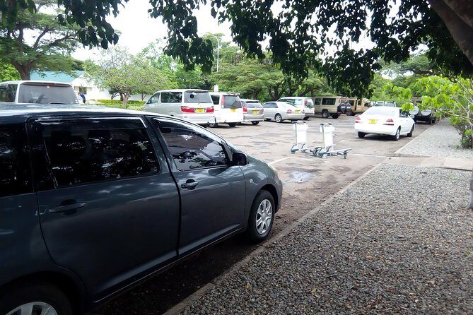 Kilimanjaro Airport taxi to/from Moshi town/Arusha town - Driver Quality: Professional, Patient, and Good at the Little Things