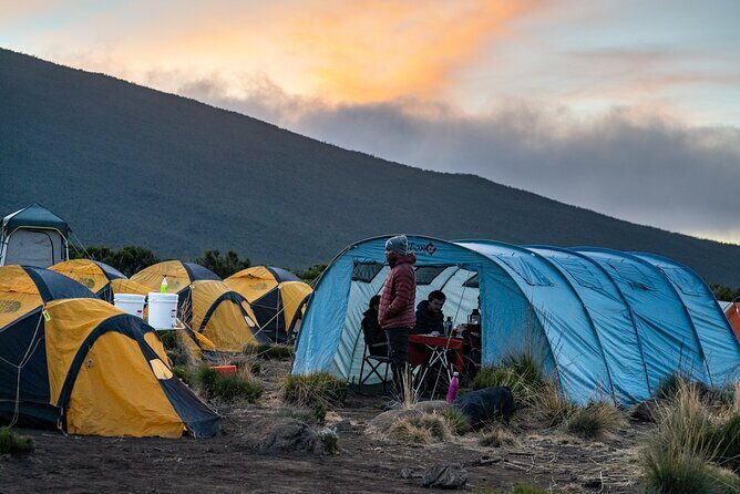 Kilimanjaro climb by Lemosho Route (7-day) - Why the Lemosho Route feels like a smarter climb