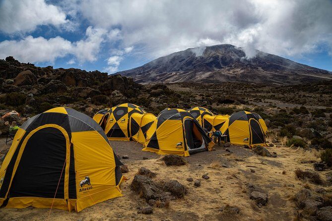 Kilimanjaro climb by Lemosho Route (7-day) - Lava Tower to Barranco: tough steps, but a purposeful reason