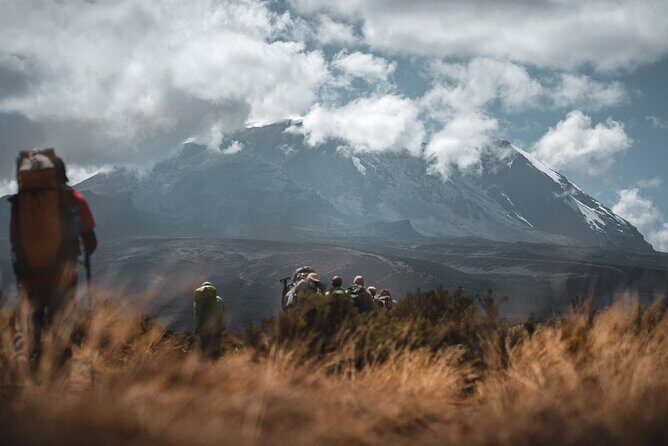 Kilimanjaro climb, Lemosho Route (6-day) - Day 1 in Moshi: airport pickup and a comfy briefing night