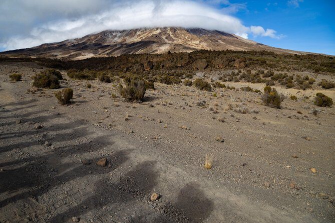 Kilimanjaro climb, Lemosho Route (6-day) - Summit night up to Uhuru Peak, then descent to Millennium Camp (Day 6)