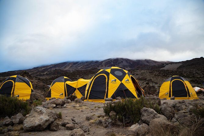 Kilimanjaro climb, Machame Route (7-day) - Day 1 to Day 3: Machame Gate, rainforest trekking, and the first big altitude steps