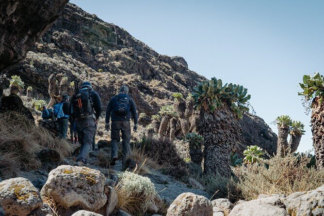 Kilimanjaro climb, Machame Route (7-day) - Day 4 to Day 5: Lava Tower acclimatization, Barranco Wall, and Karanga’s ups and downs