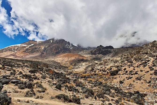 Kilimanjaro climb, Marangu route (6-day) - Day 7 down to Marangu Gate: finishing strong with certificates