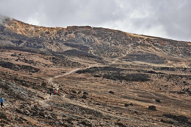 Kilimanjaro climb, Rongai Route (7-day) - Rongai Route: why the northern side feels different