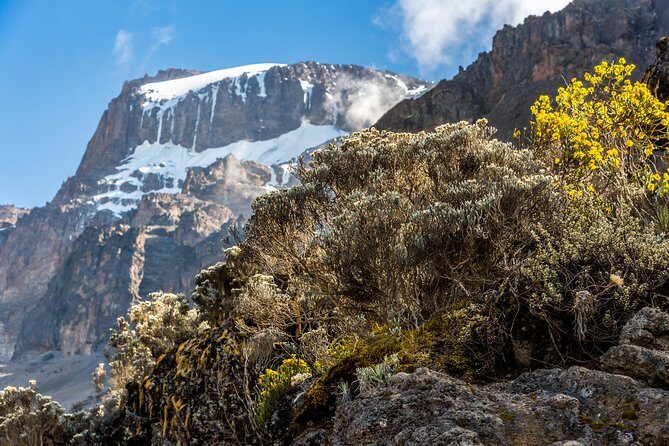 Kilimanjaro climb, Rongai Route (7-day) - Summit night to Uhuru Peak (5,895 m): slow steps, hard hours