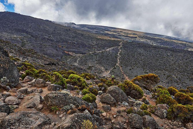 Kilimanjaro climb, Rongai Route (7-day) - Moshi arrival and Aishi Machame Hotel: use the comfort before the climb