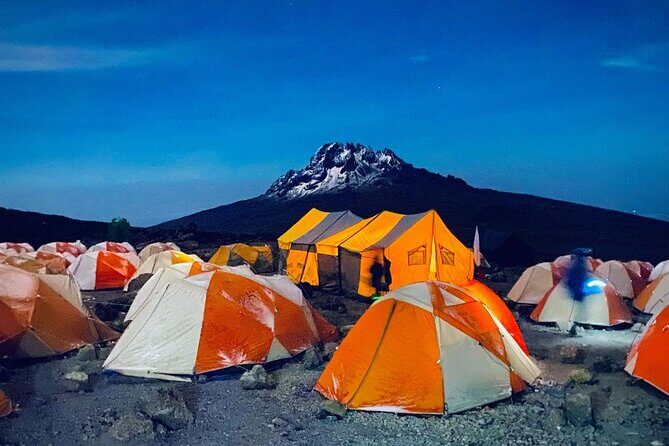 Kilimanjaro Climbing Lemosho Route 8 Days. - Shira Plateau Day: moorland miles, Kibo views, and a controlled climb