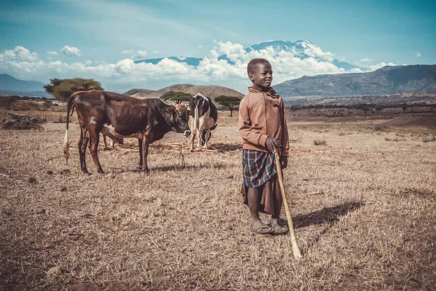 Kilimanjaro: Maasai Village Visit, Waterfalls, & Coffee Tour - Key Points I’d Circle Before Booking