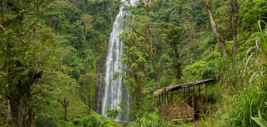 Kilimanjaro: Maasai Village Visit, Waterfalls, & Coffee Tour - What to Pack (and What to Skip) for a Mud-and-Rain Day