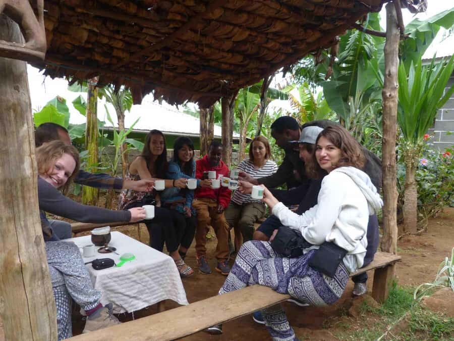 Kilimanjaro: Village Walk, Coffee Tour, Waterfall, and Lunch - Getting there and timing: pickup, private pace, and what to pack