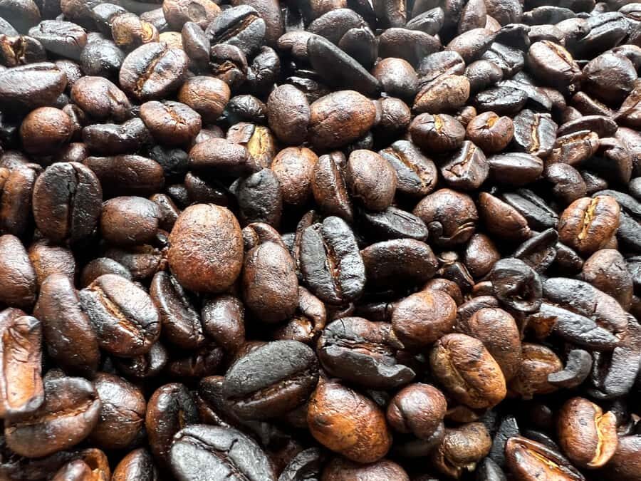 Kilimanjaro: Village Walk, Coffee Tour, Waterfall, and Lunch - Who this tour suits best (and who may feel the rough spots)