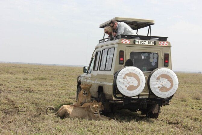 Living Among Lions - Key Takeaways Before You Book