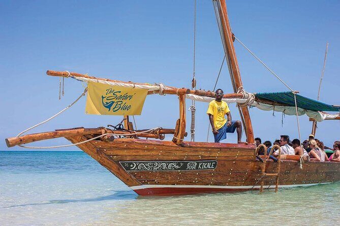 Luxury Swimming with DOLPHINS IN MNEMBA and LUNCH - Key Points to Know Before You Go