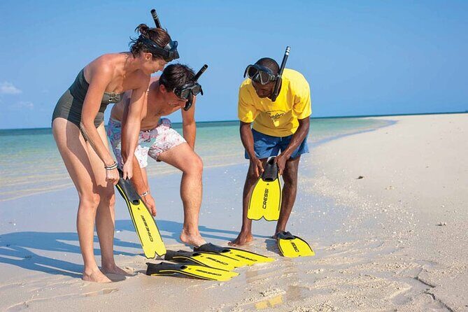 Luxury Swimming with DOLPHINS IN MNEMBA and LUNCH - Mnemba Island Dolphin Time Without the All-Day Commitment