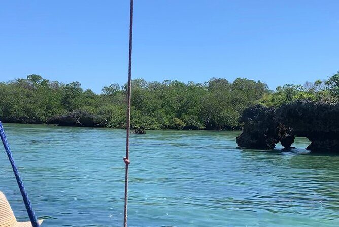 Luxury Swimming with DOLPHINS IN MNEMBA and LUNCH - Who This Trip Fits Best (And Who Might Want Something Else)