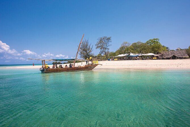 Luxury Swimming with DOLPHINS IN MNEMBA and LUNCH - Price and Value: What $130 Really Buys