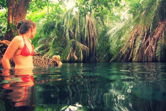 Maasai village visit and Chemka hot-springs with hot lunch. - Best Time, What to Expect on the Ground, and Small Comfort Tips