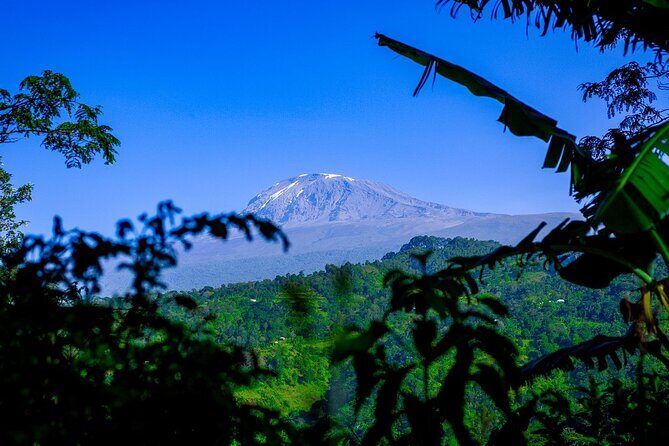 Maasai village visit, Materuni waterfalls & coffee experience - Price and Value: Is $154 a Good Deal?