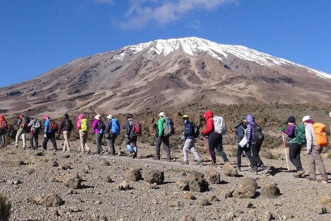 Machame Route 6 days 5 Nights/Kilimanjaro Climb - Day 4: Barranco Wall to Barafu Hut (South Circuit Views, Heavy Effort)
