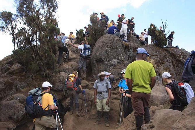 Machame Route 6 days 5 Nights/Kilimanjaro Climb - Day 5: Midnight Summit Push to Stella Point and Uhuru Peak