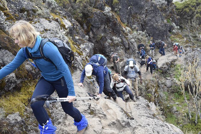 Machame Route 6 days 5 Nights/Kilimanjaro Climb - Day 2: Shira Plateau Day (Longer Climb, Less Drama)
