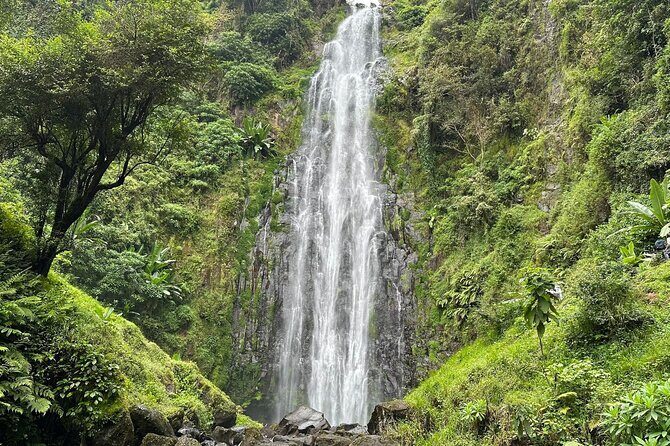 Materuni Waterfall and Coffee Plantation Half Day Tour - Key highlights you’ll care about